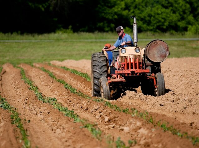Photo by Mark Stebnicki: https://www.pexels.com/photo/man-riding-red-tractor-on-field-2252618/